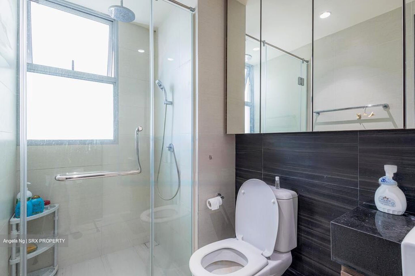 Jade Residences (D19), Apartment #482466931
